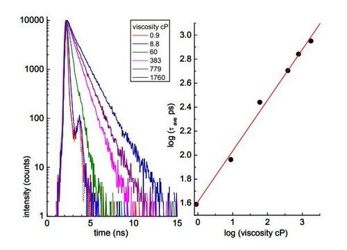 利用熒光壽命測(cè)量獲得局部粘度值